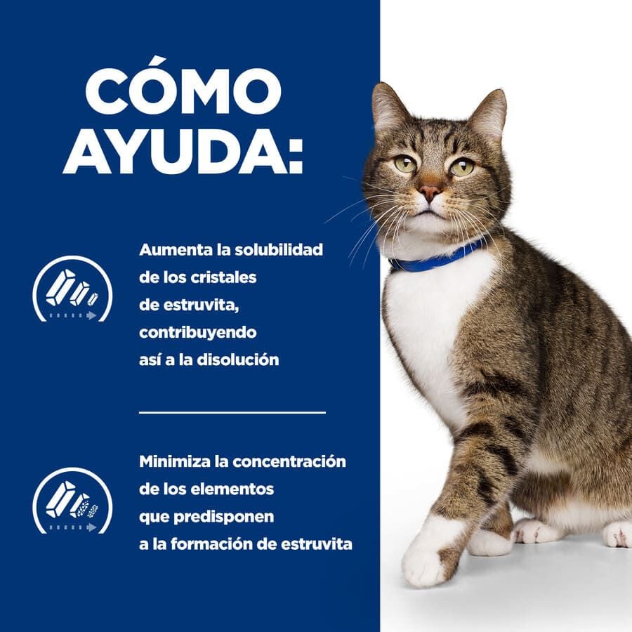 3 kg Hill's Prescription Diet Urinary Care s/d Pollo pienso para gatos, , large Imagen numero 4